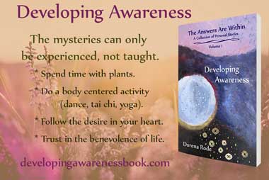 quote from developing awareness book